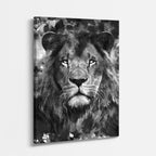 cuadro canvas vida salvaje león de piedra vertical