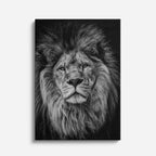 cuadro canvas vida salvaje león gris vertical