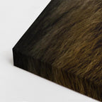 cuadro canvas vida salvaje león dorado intenso vertical