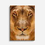 cuadro canvas vida salvaje mirada de reina vertical