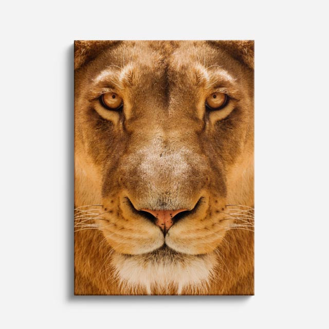 cuadro canvas vida salvaje mirada de reina vertical