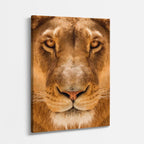 cuadro canvas vida salvaje mirada de reina vertical