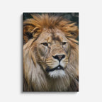 cuadro canvas vida salvaje león blanco real vertical