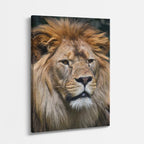 cuadro canvas vida salvaje león blanco real vertical