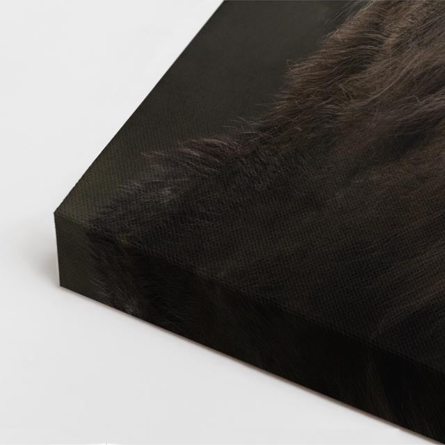 cuadro canvas vida salvaje león oscuro vertical