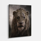 cuadro canvas vida salvaje león oscuro vertical