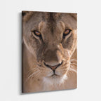 cuadro canvas vida salvaje león observador vertical