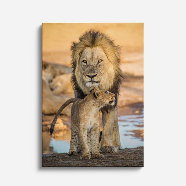 cuadro canvas vida salvaje león de la charca vertical