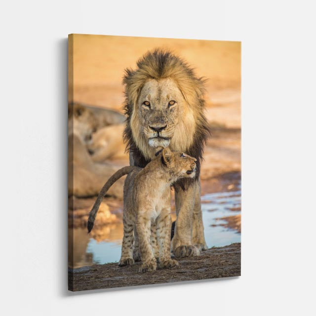 cuadro canvas vida salvaje león de la charca vertical