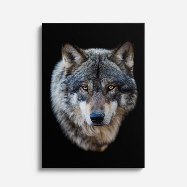 cuadro canvas vida salvaje mirada del lobo vertical