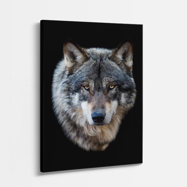 cuadro canvas vida salvaje mirada del lobo vertical