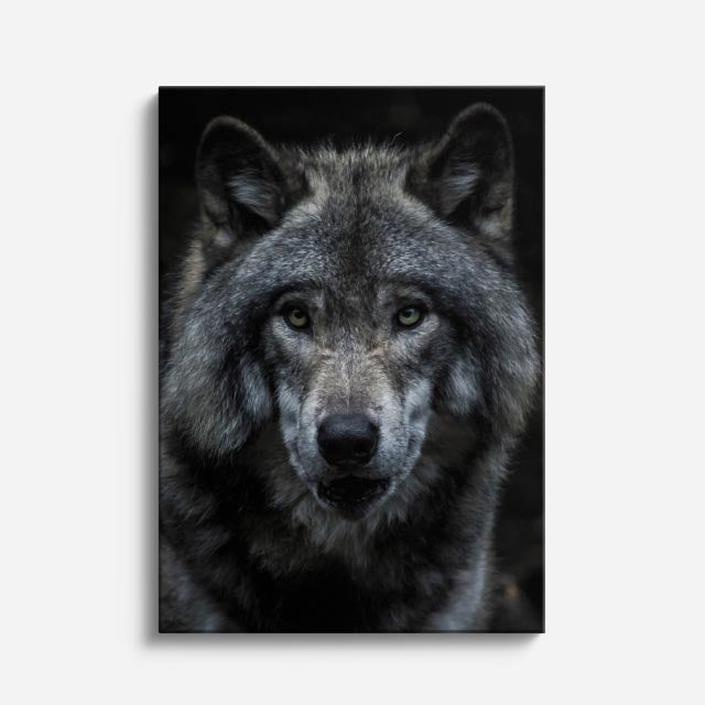 cuadro canvas vida salvaje lobo de la niebla vertical