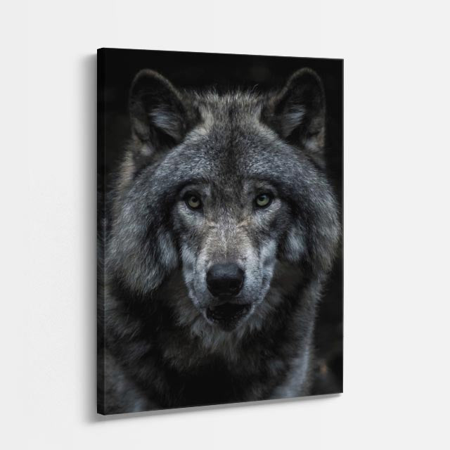 cuadro canvas vida salvaje lobo de la niebla vertical