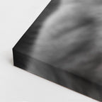cuadro canvas vida salvaje lobo del invierno vertical