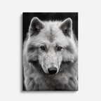 cuadro canvas vida salvaje lobo del invierno vertical