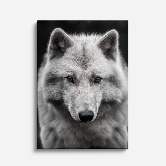 cuadro canvas vida salvaje lobo del invierno vertical