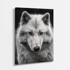 cuadro canvas vida salvaje lobo del invierno vertical