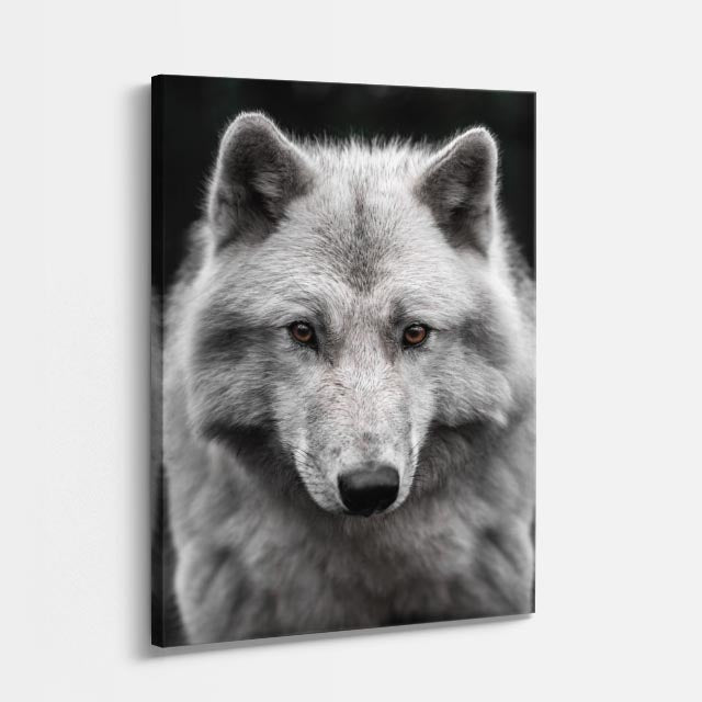 cuadro canvas vida salvaje lobo del invierno vertical