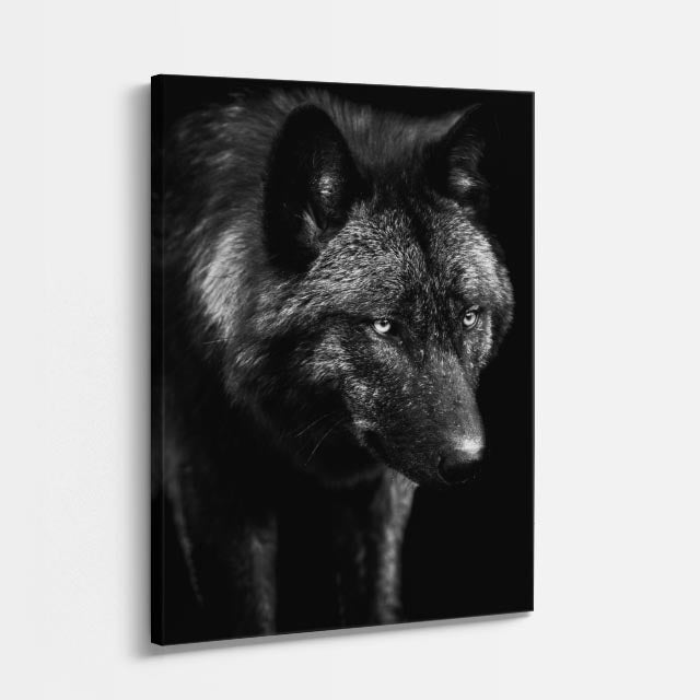 cuadro canvas vida salvaje sombra del lobo vertical