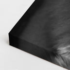 cuadro canvas vida salvaje lobo de marfil vertical