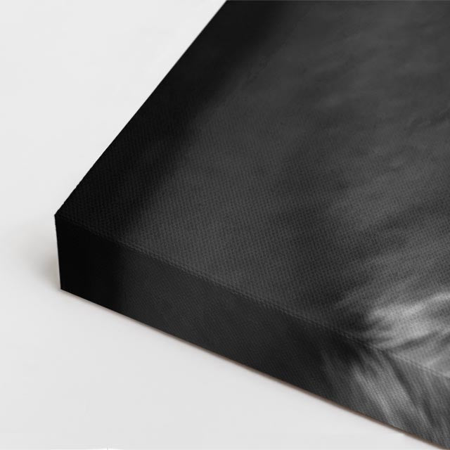 cuadro canvas vida salvaje lobo de marfil vertical