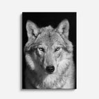 cuadro canvas vida salvaje lobo de marfil vertical