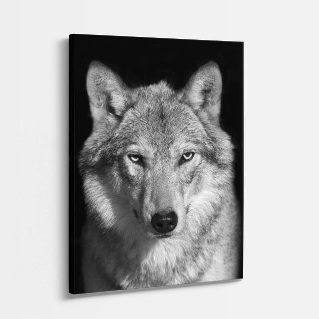 cuadro canvas vida salvaje lobo de marfil vertical