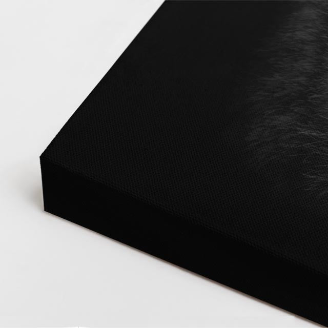 cuadro canvas vida salvaje lobo gris velado vertical