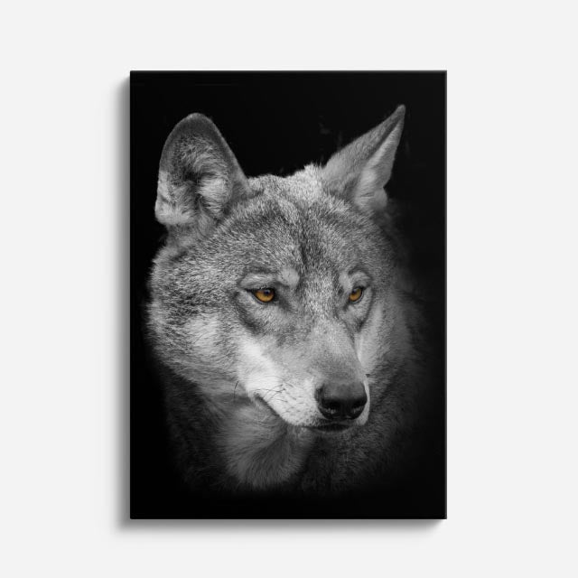 cuadro canvas vida salvaje lobo gris velado vertical