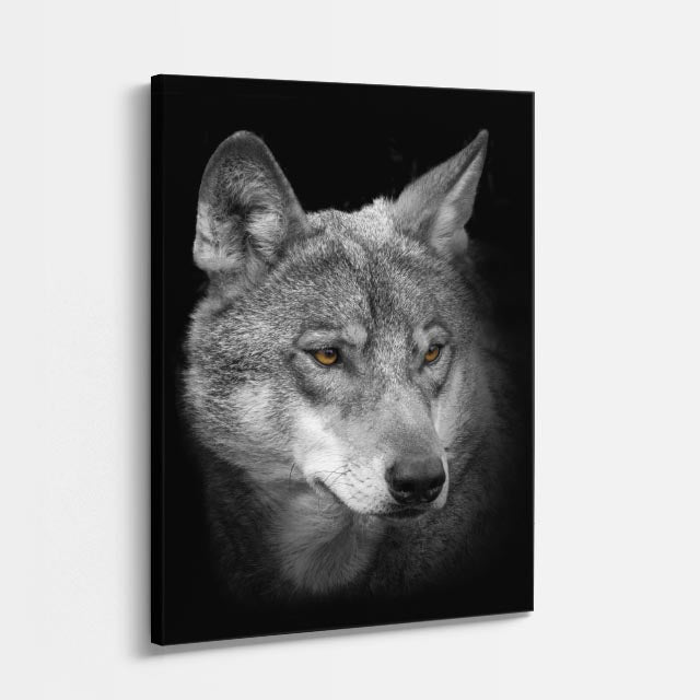 cuadro canvas vida salvaje lobo gris velado vertical