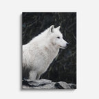 cuadro canvas vida salvaje lobo blanco sereno vertical