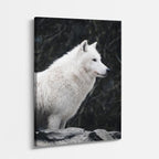 cuadro canvas vida salvaje lobo blanco sereno vertical