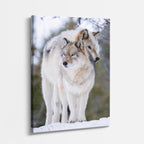 cuadro canvas vida salvaje lobo del deshielo vertical