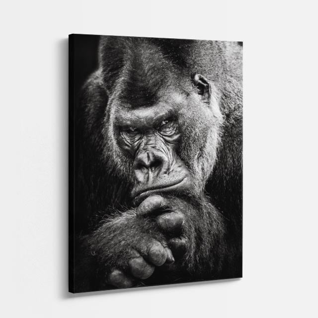 cuadro canvas vida salvaje pensador de la selva vertical
