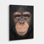 cuadro canvas vida salvaje mirada del chimpancé vertical