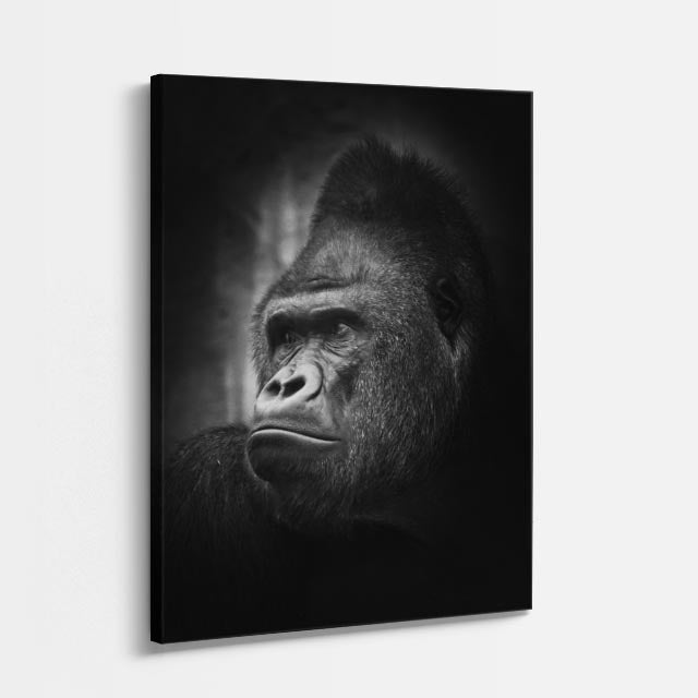 cuadro canvas vida salvaje perfil del gorila vertical