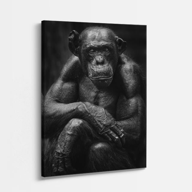 cuadro canvas vida salvaje vigía de la selva vertical