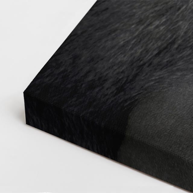 cuadro canvas vida salvaje fuerza del plateado vertical
