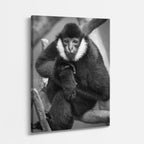 cuadro canvas vida salvaje silencio del mono vertical