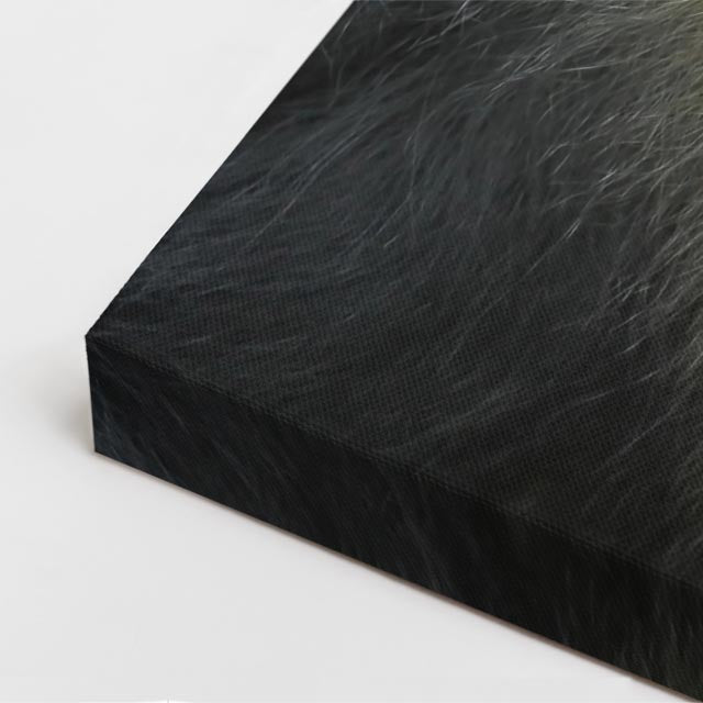cuadro canvas vida salvaje mandril carmesí vertical
