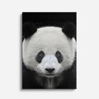 cuadro canvas vida salvaje panda sereno vertical