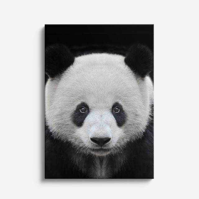 cuadro canvas vida salvaje panda sereno vertical