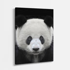 cuadro canvas vida salvaje panda sereno vertical