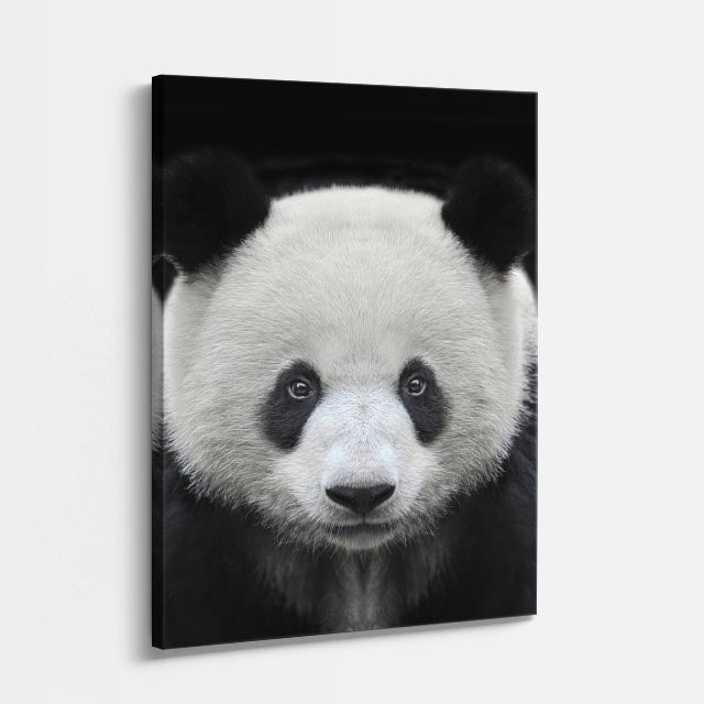 cuadro canvas vida salvaje panda sereno vertical