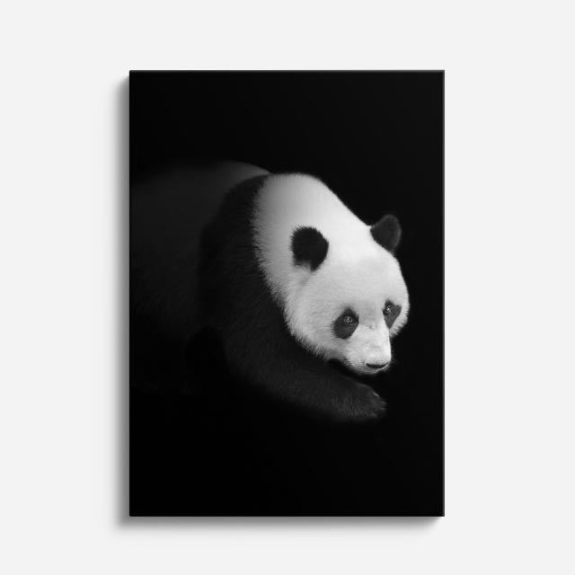 cuadro canvas vida salvaje panda nocturno vertical