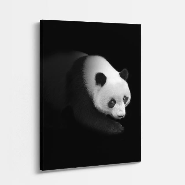 cuadro canvas vida salvaje panda nocturno vertical