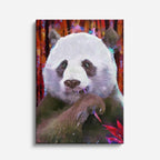 cuadro canvas vida salvaje panda artístico vertical