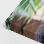 cuadro canvas vida salvaje panda curioso vertical