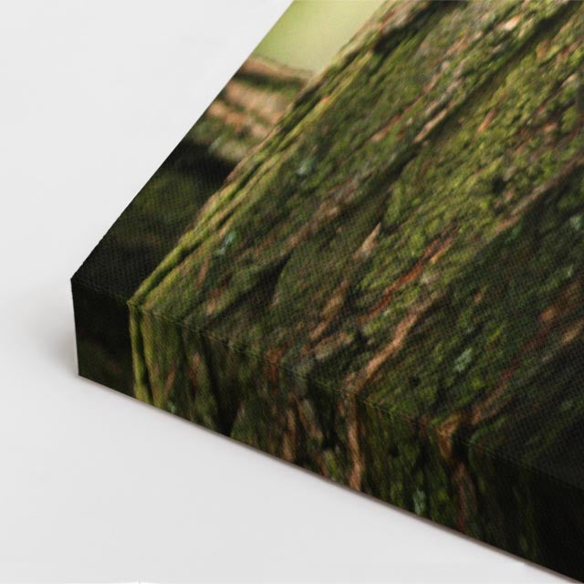cuadro canvas vida salvaje panda del bosque vertical