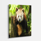 cuadro canvas vida salvaje panda del bosque vertical